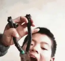 搞笑gif趣图明明是个开会的现场,竟然被妹子的吃相给带动了,有点饿的感觉

