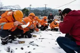 冷冽的寒风中,你的身影最美
