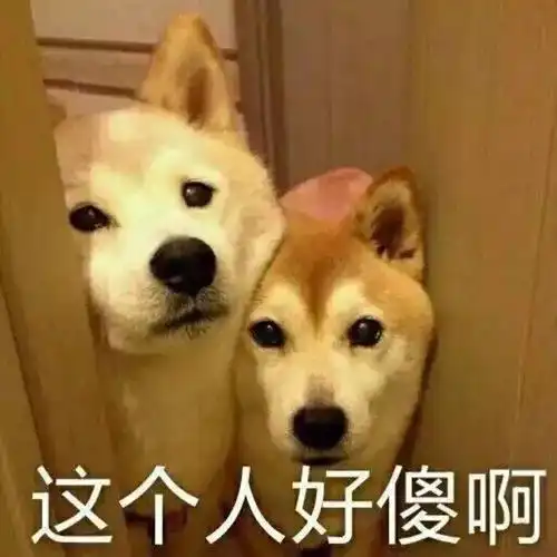 所以说,跟男朋友说话千万不能拐弯
