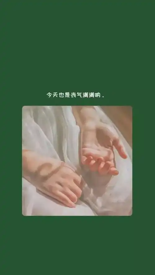 壁纸戒掉那杯烈酒忘掉那条狗
