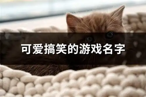 可爱搞笑的游戏名字共301个
