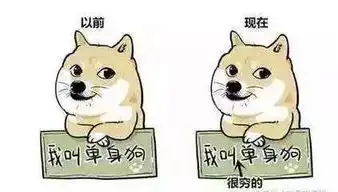 如果汪也会做梦,除了小肉干之外,它竟然还喜欢
