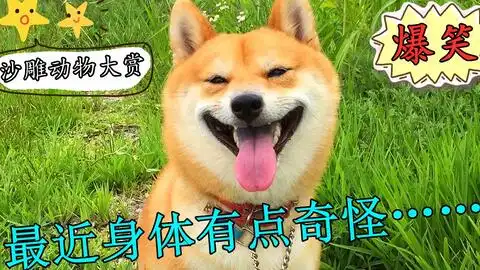 搞笑配音然而二狗早已看穿了一切沙雕二哈,爆笑幽默
