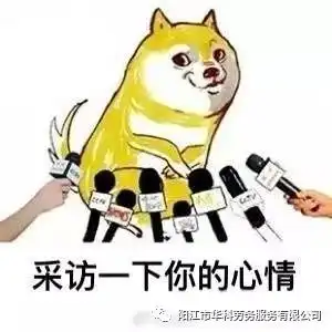 双11终于过去,你确定不来央企面试
