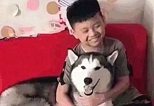 二哈将作业本撕碎,铲屎官又急又气,小主人的脸上却飘过一丝窃喜
