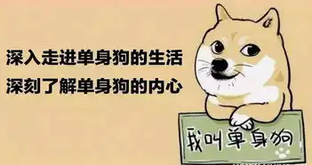 淘宝爱情报告七夕单身商品成交翻4倍,单身狗背后的商机逐渐显现
