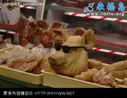 图片笑话笑话大全第4746页
