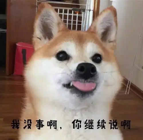 汪星界第一戏精,非柴柴莫属
