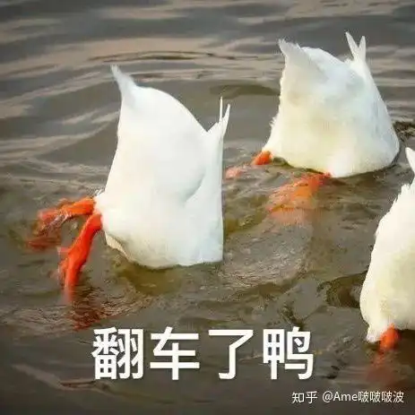 婚礼上,最想对另一半说的一句话是什么
