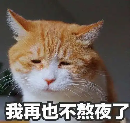 万万没想到,沈梦辰竟然斑秃了
