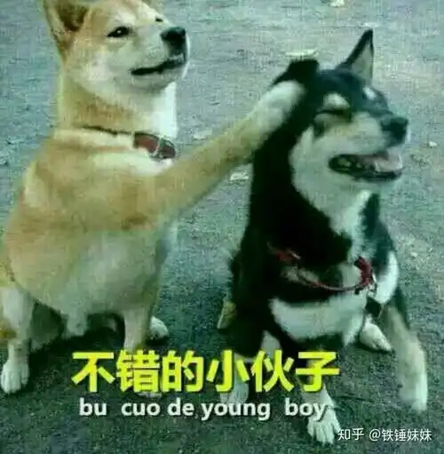 疫情期间在家应该自我提升还是搞搞副业
