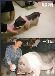 搞笑hao123上网导航
