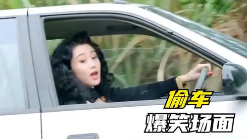 五星杀手张译偷车,当着车主的面直接开走,太侮辱人了爆笑偷车
