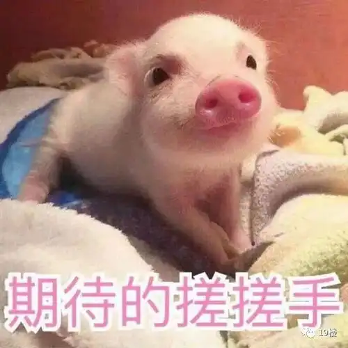 你的老iphone要复活了苹果新更新了8大功能,5s扶我起来
