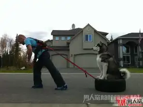 各种雷人各种尴尬的搞笑图片
