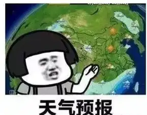抖音带声音的表情包天气