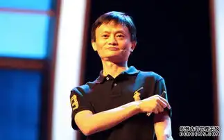 李彦宏马化腾提问马云如何挑战银行
