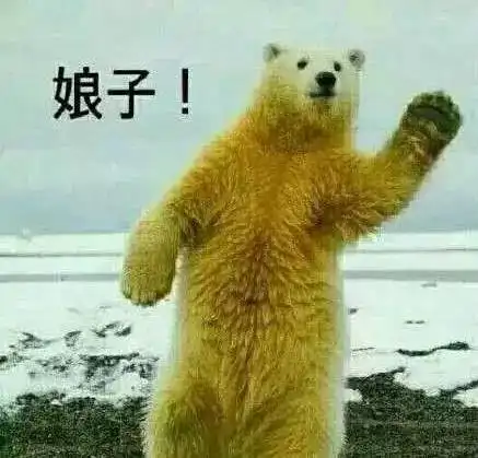 气温正好,景色绝佳,他们粗花去了宁夏