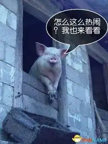 欢迎来看每日搞笑图端午让快乐随你一起动不停
