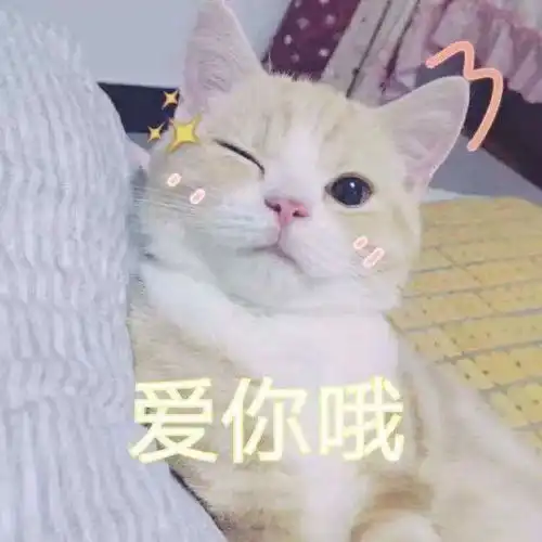 多穿今天降雨继续,全省降温26,局地风力6级
