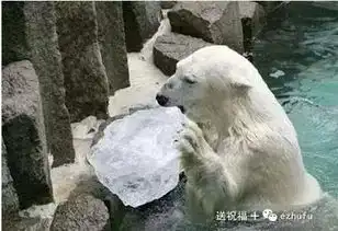 天太热,发个笑话凉快一下