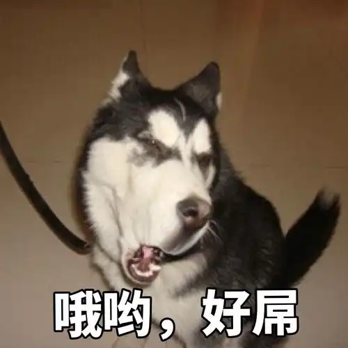 自从给家里的宠物起了个沙雕名字,我的生活处处都变成笑话
