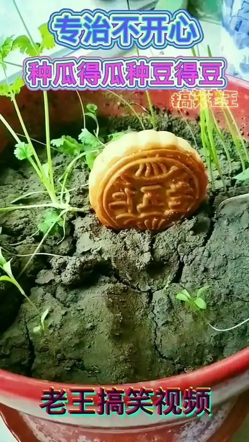 幽默沙雕搞笑段子
