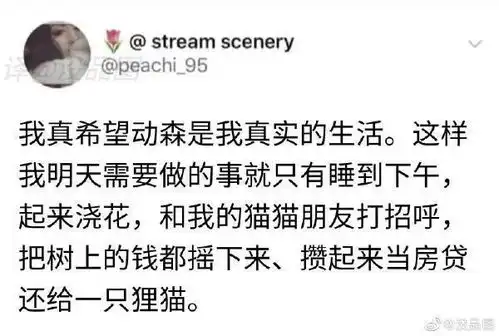 搞笑趣图长得丑还不让说,你是要欺骗自己到什么时候
