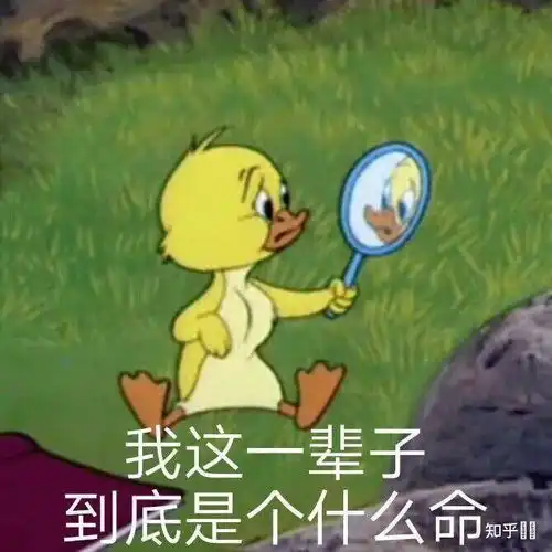 有关不搭理它的表情包明