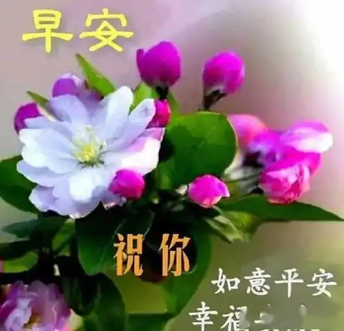 人生是旅途,你要开心地走生活像大餐,你得仔细地尝,早上好
