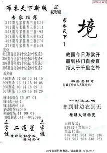 310期新版布衣天下1234
