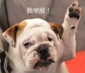 宜春今天12.28发生的事儿
