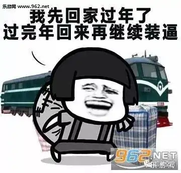 返乡过年杂记乡土中国掠影

