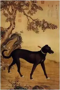 半文艺术传媒丨累成狗别开玩笑了,狗生赢家可比你辛苦多了

