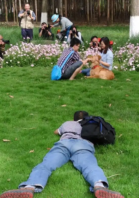 笑话段子搞笑图片算命先生你别跑,我保证不打死你
