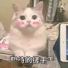 青春招募令丨青马在心,追梦不止

