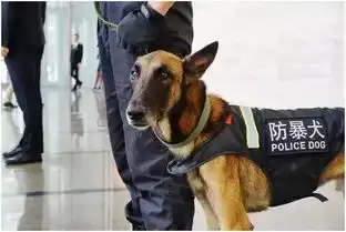 累成狗开玩笑,人家统领3万只火鸡,还有月薪1万8....

