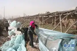 北方部分地区遭遇沙尘天气
