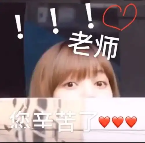 lisa交作业表情包壁纸头像
