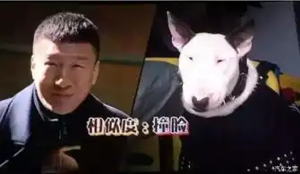 首播全程无尿点后劲十足
