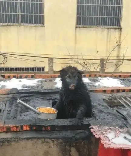 女生脖子上绑黑带子是干啥用的哈哈哈哈这什么神操作...
