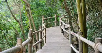 广州二龙山花园广州后花园赏花赏春

