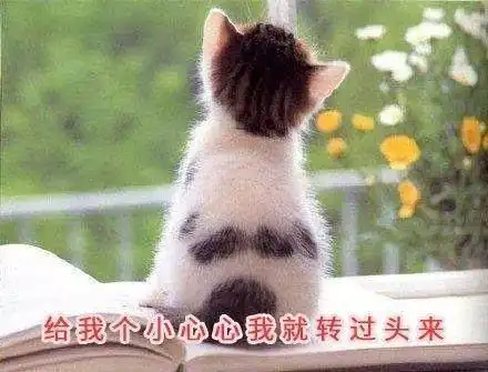 搞笑gif图片笑话段子班长提出我们双手环抱胸前姿势
