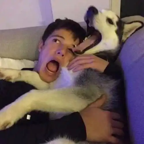 觉得我喜欢的小哥哥头像很丑怎么办