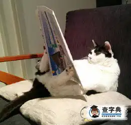 真正的学霸在这里搞笑图片
