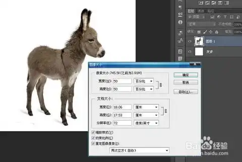如何使用ps制作移动的放大镜动画效果图
