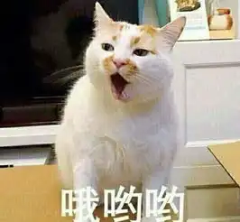 开心一笑像我这么不搞笑的人想要逗女友笑,最大的难点,就是没女友
