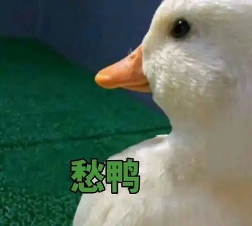 好的鸭表情包鸭鸭
