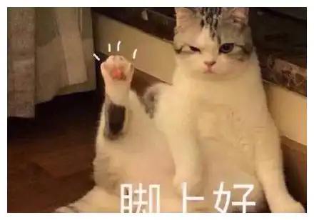 搞笑图片小时候看到天上飞机飞过,特别激动,在地上冲着飞机喊
