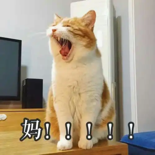 爆笑gif为什么差距就这么大呢
